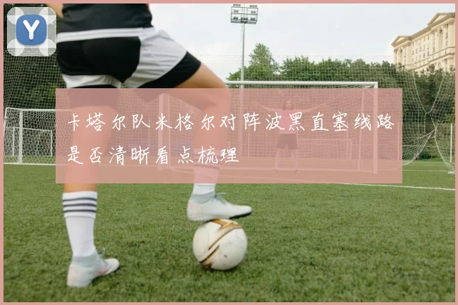 卡塔尔队米格尔对阵波黑直塞线路是否清晰看点梳理