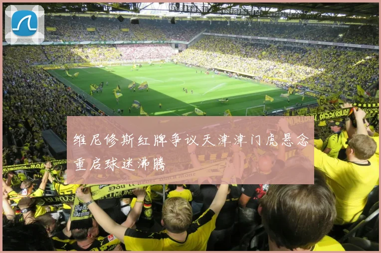维尼修斯红牌争议天津津门虎悬念重启球迷沸腾