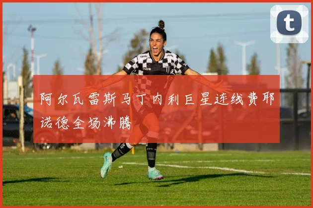 阿尔瓦雷斯马丁内利巨星连线费耶诺德全场沸腾