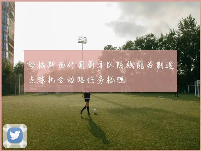 哈梅斯面对葡萄牙队防线能否制造点球机会边路任务梳理