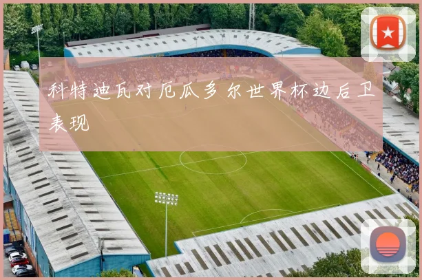科特迪瓦对厄瓜多尔世界杯边后卫表现