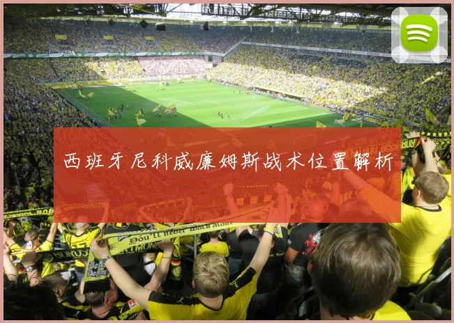 西班牙尼科威廉姆斯战术位置解析