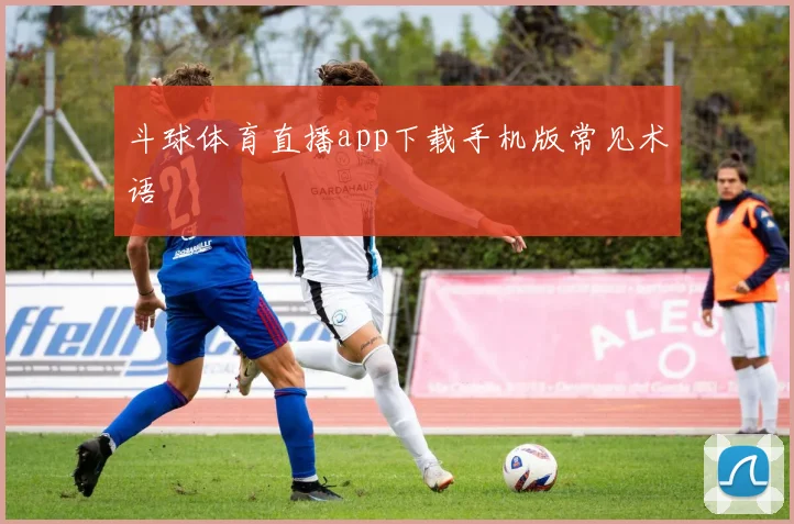 斗球体育直播app下载手机版常见术语